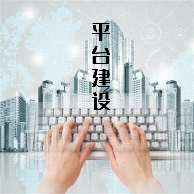 平台建设